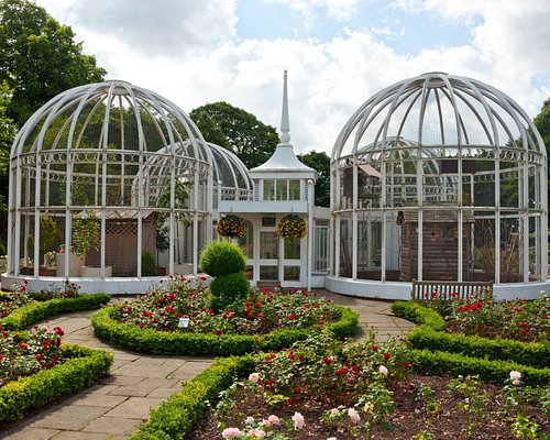 Finding Peace in Birmingham Botanical Gardens